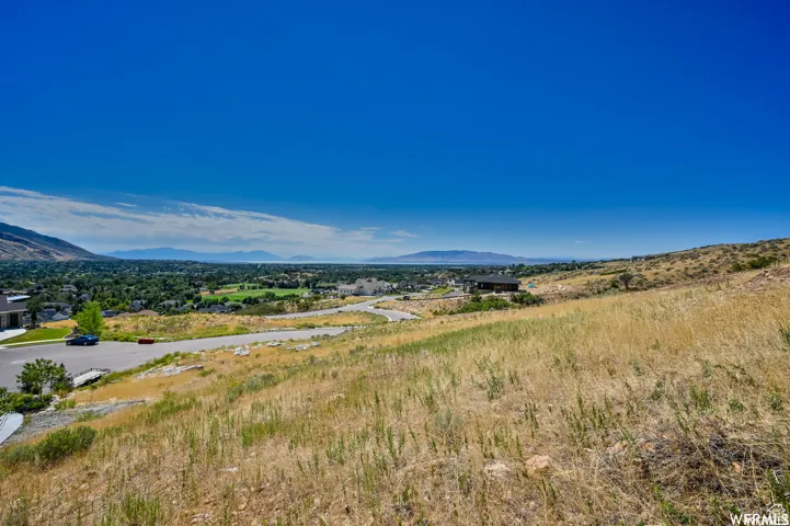 Expansive hillside property featuring natural vegetation and a distant mountain range