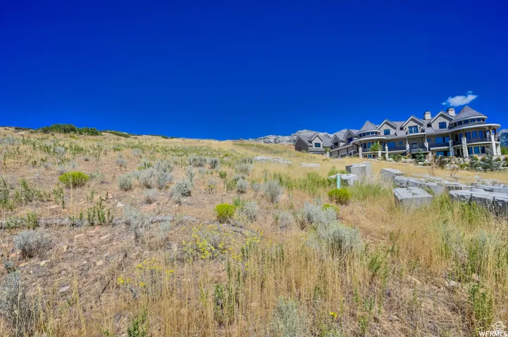 Expansive undeveloped hillside lot offering natural vegetation
