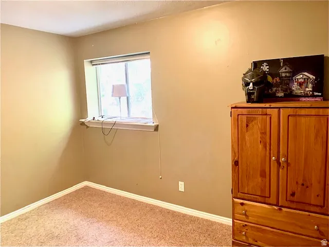 Downstairs bedroom