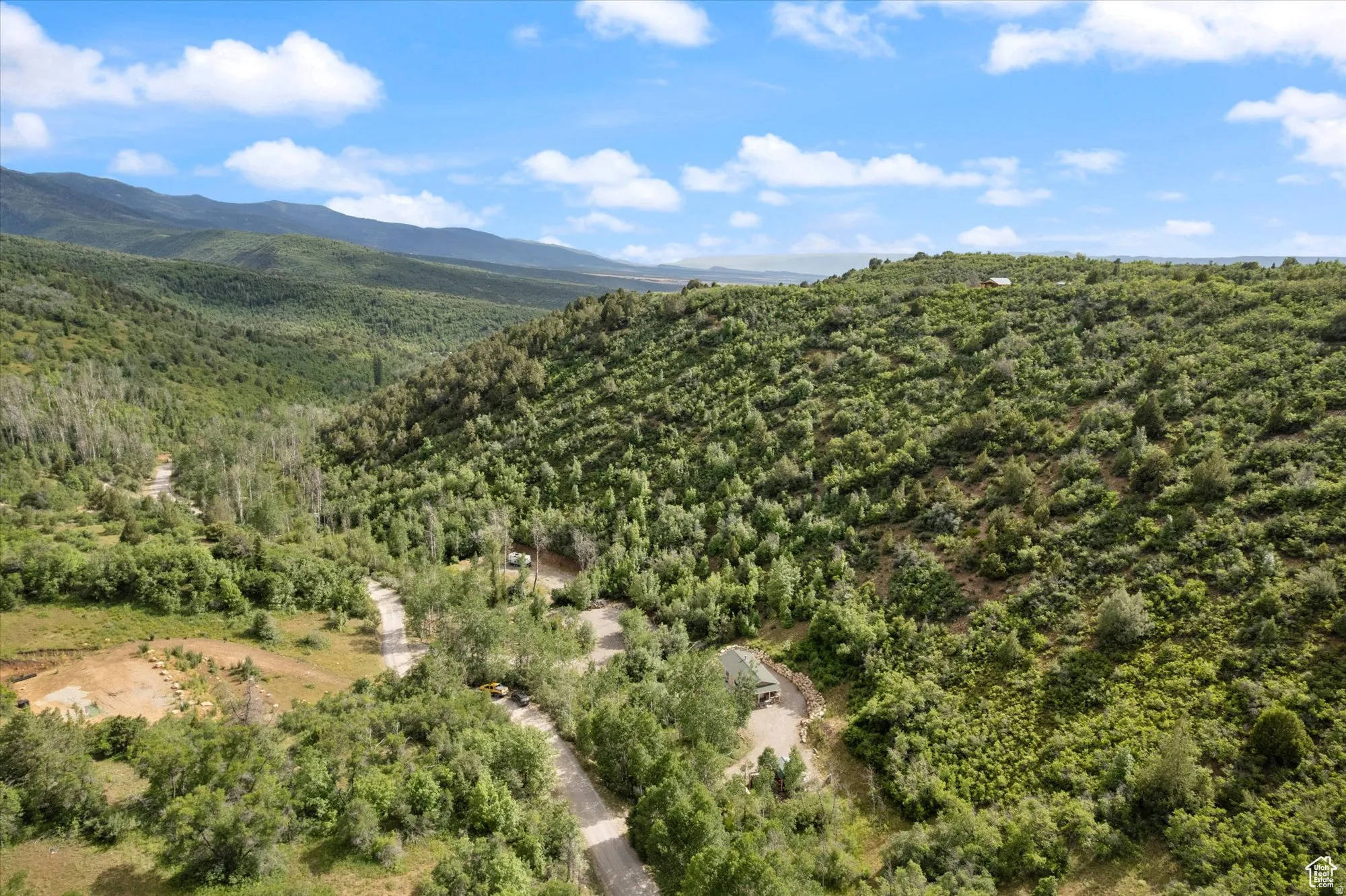 Mountain view featuring a forest.