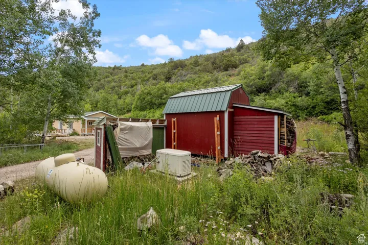 The generator, propane tank, and several frames for stacking wood for the wood stove.