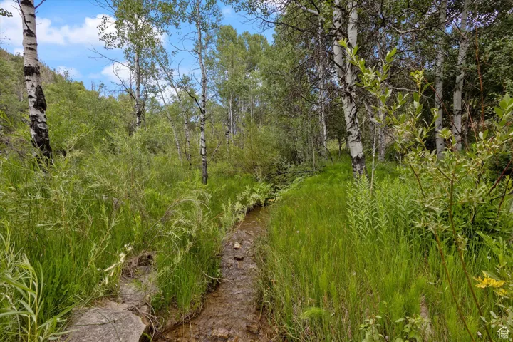 The creek runs across the property along the east side of the deck and cabin.