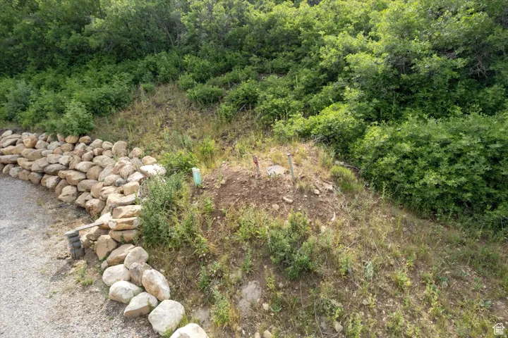 The mound covers the 2,000 gallon underground water tank. See its pipes to the right of the stone retaining wall.