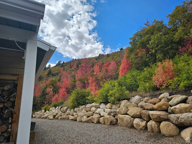 View of mountain with autumn colors.