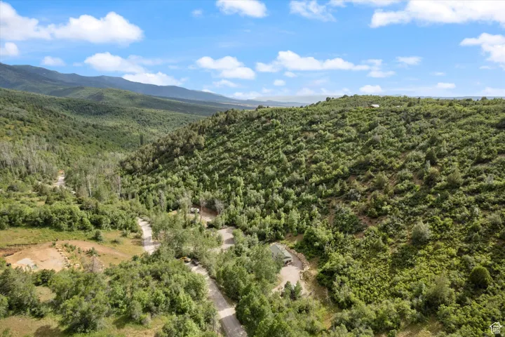 Mountain view featuring a forest.