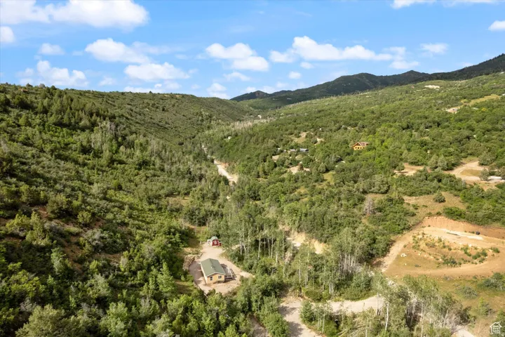 Mountain view with a heavily wooded area.