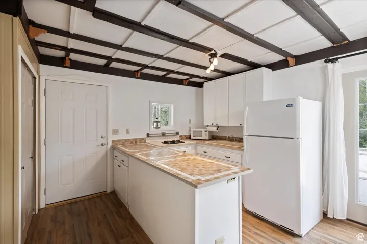 Kitchen featuring a propane stove top and fridge.