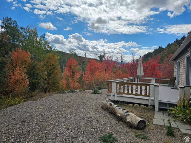 View of yard featuring a forest view and a wooden deck