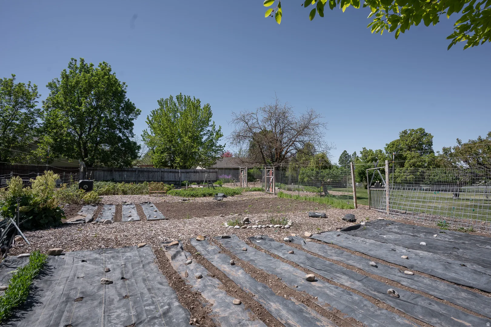 Delightful l garden, planted for this summer, you'll love the berries, veggies, and beauty of this fun fenced and gated area !