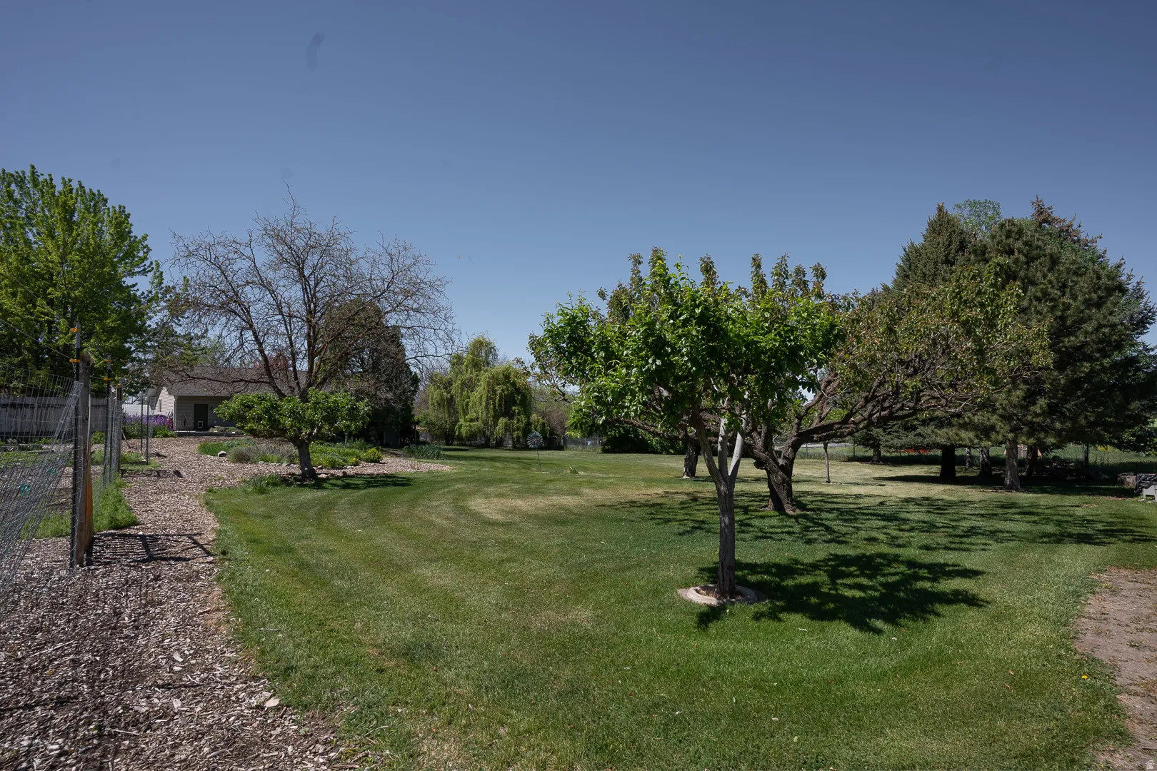 Easy mowed lawn, with numerous mature fruit trees, fully fenced.