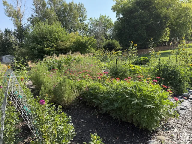 Come pick, relax and enjoy to beauty of this perfect garden spot !