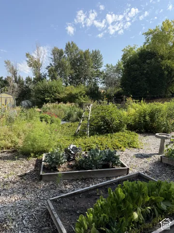 Home Grown Goodness at it 's best !!  Gardens and flowers galore!
