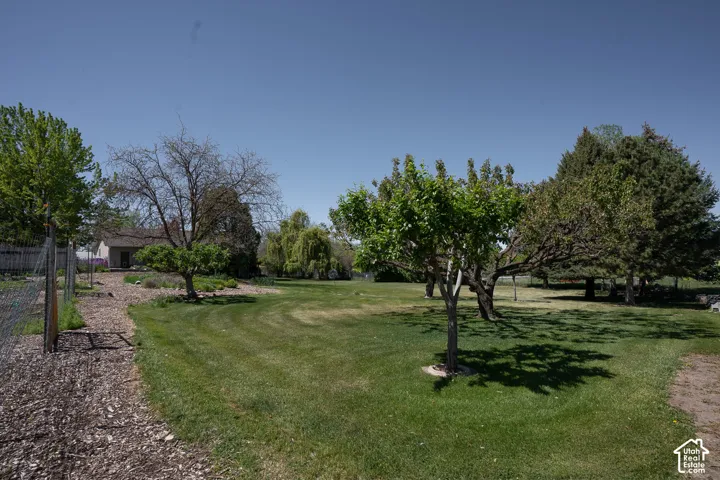 Easy mowed lawn, with numerous mature fruit trees, fully fenced.