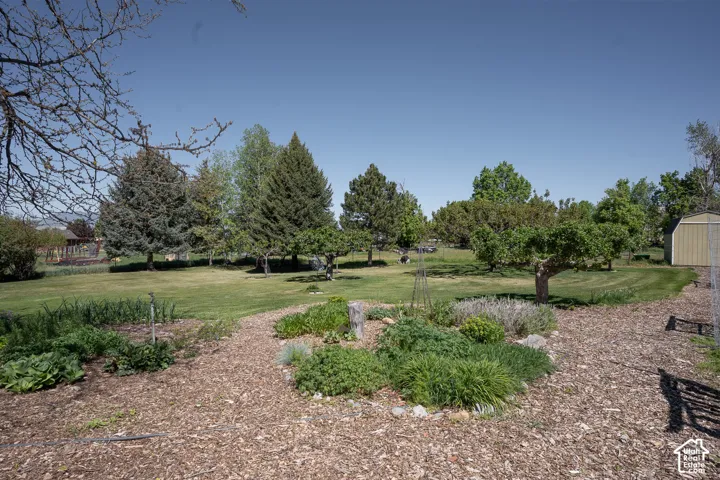 Hours of love and time have contributed to this heavenly back yard and garden over many years and more years to come !