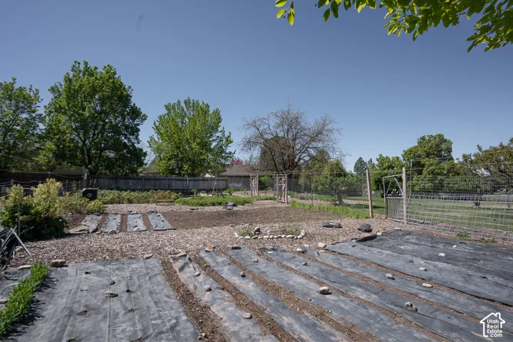 Delightful l garden, planted for this summer, you'll love the berries, veggies, and beauty of this fun fenced and gated area !