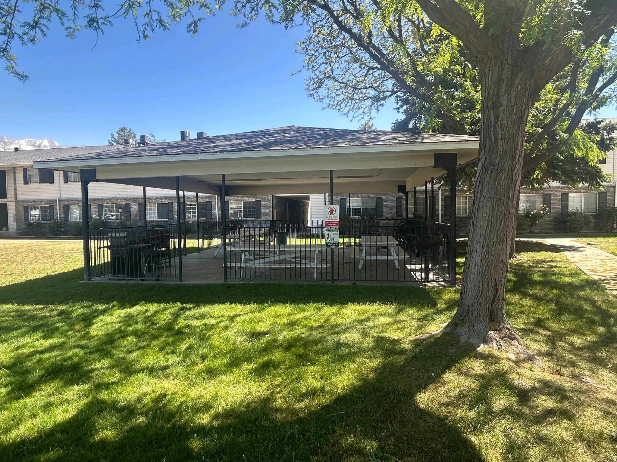 Pavillion and BBQ grills