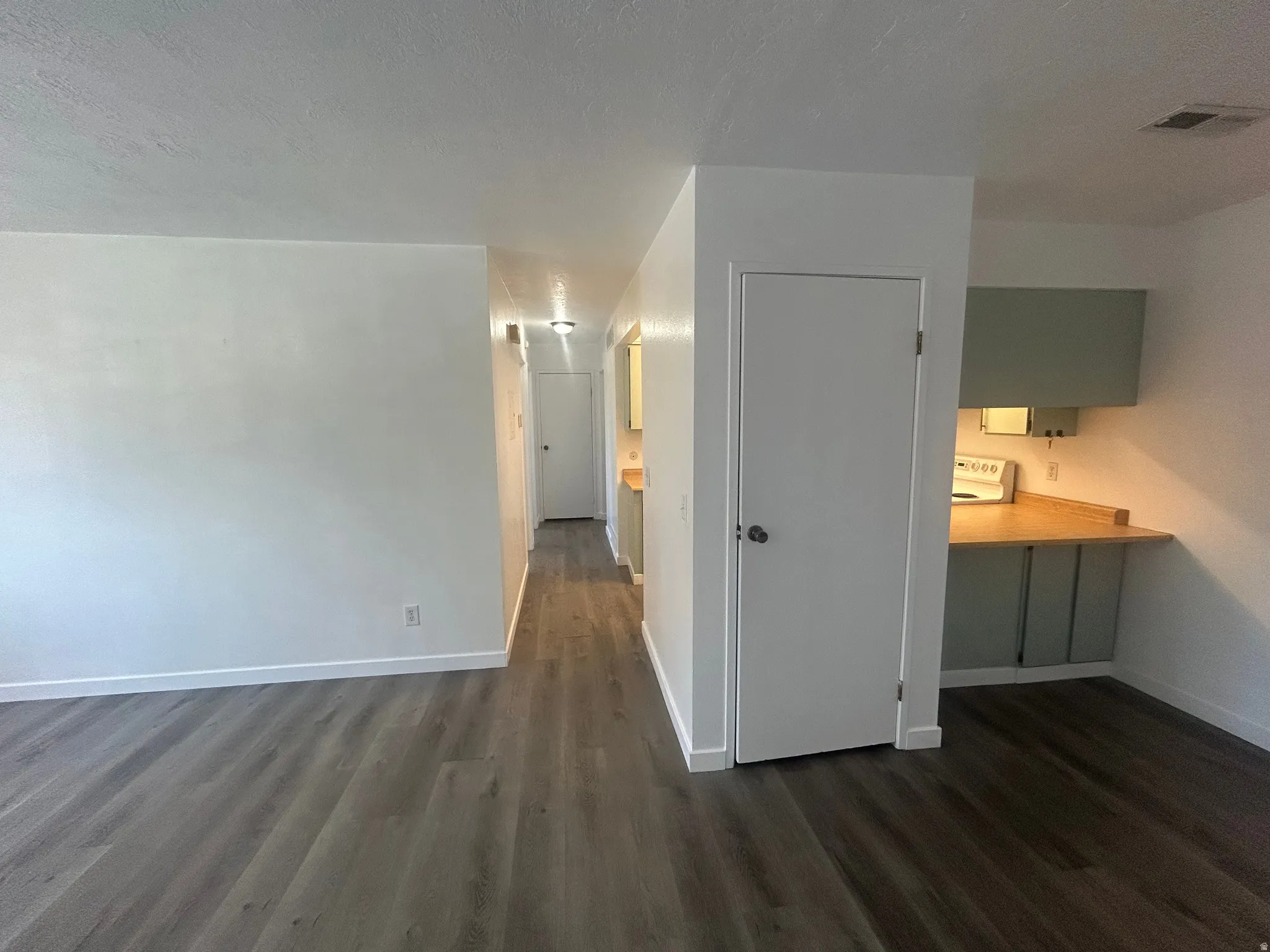 Entry closet and hallway to bedrooms