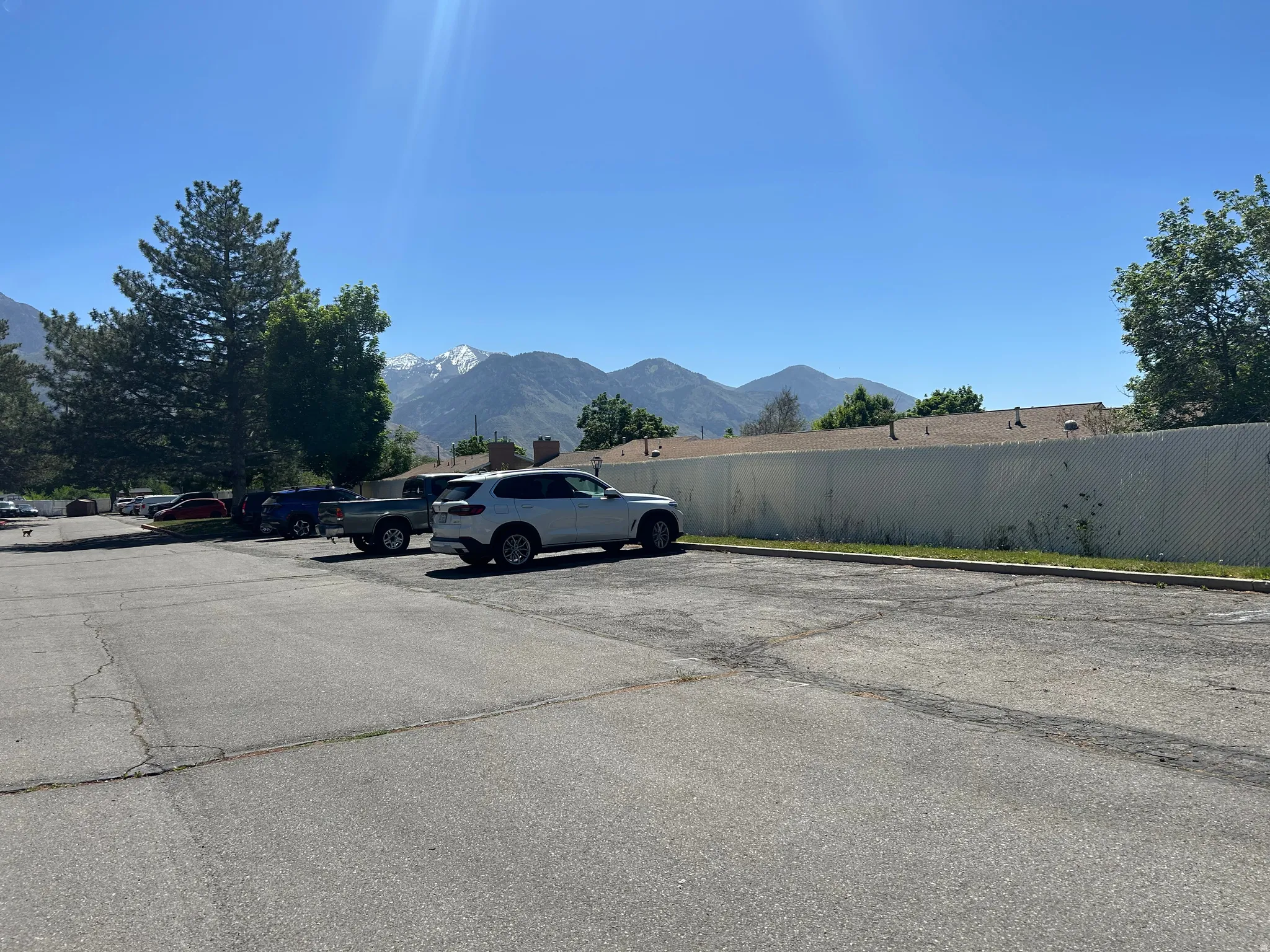 ample guest parking