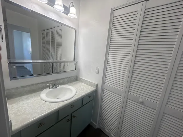 Sink and laundry closet