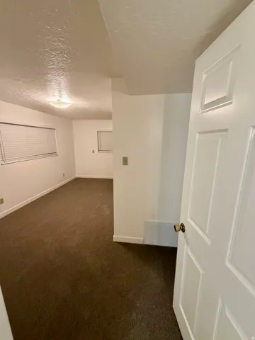 Open panel door revealing a room with brown carpet, white walls, and a ceiling-mounted light fixture