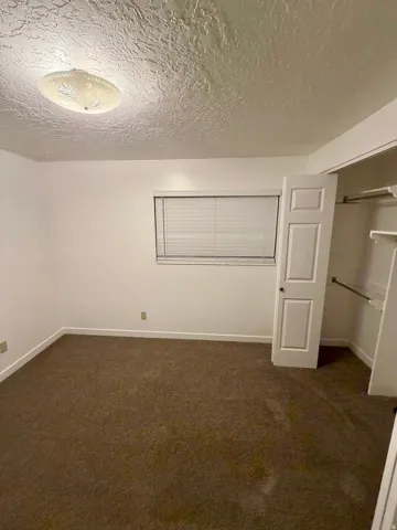 Carpeted room featuring a window with horizontal blinds, a ceiling-mounted light fixture, a paneled door, and an open closet with shelving and a hanging rod