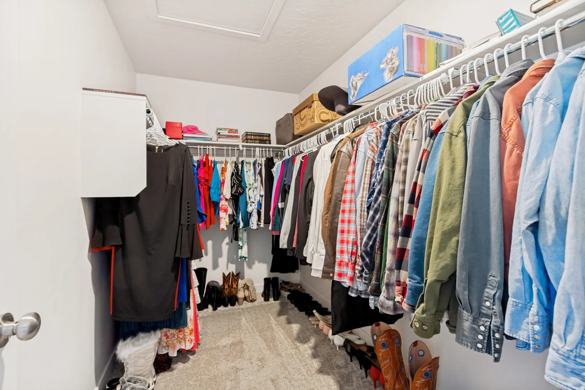 Walk-in closet featuring light-toned carpeting and white walls