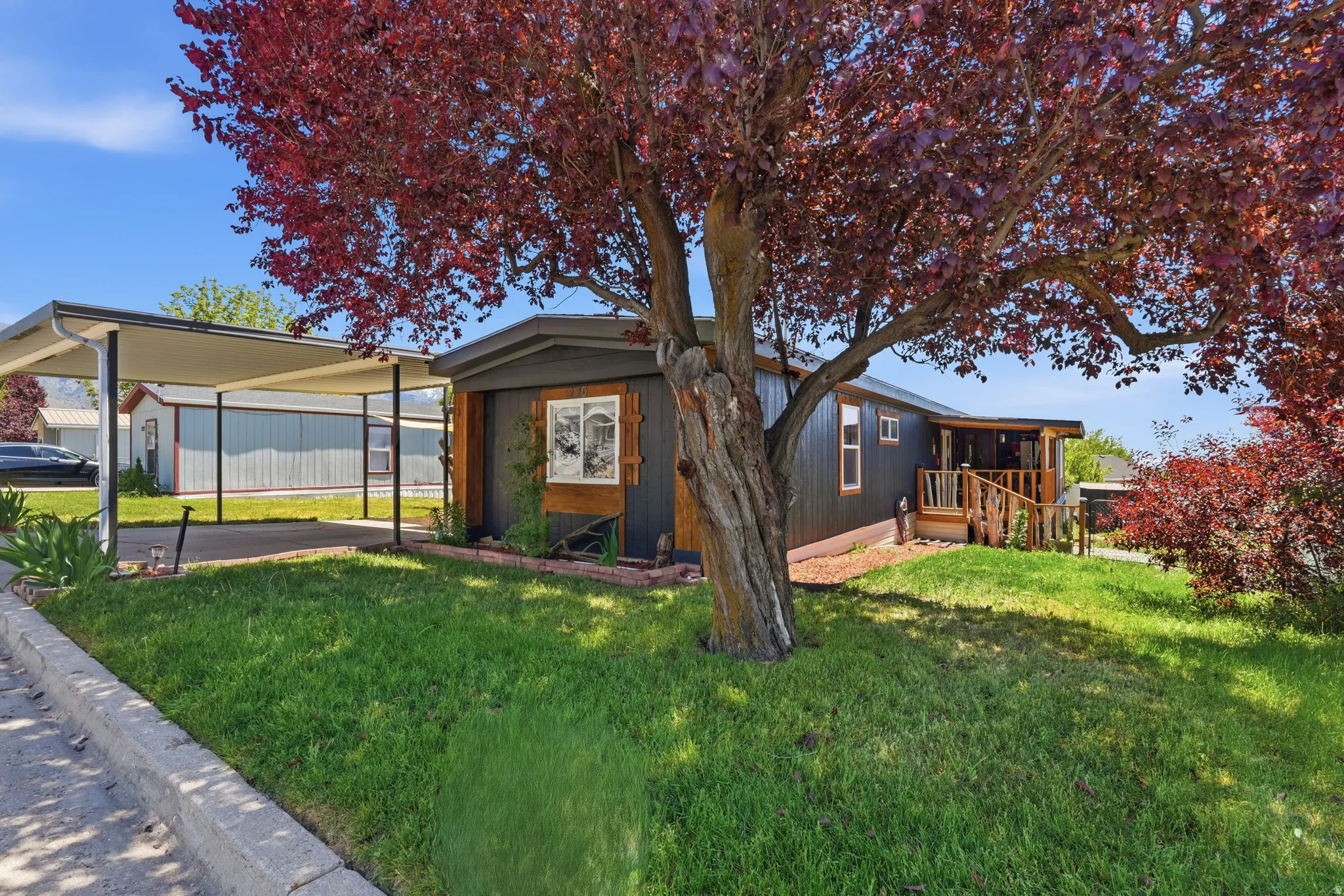 Contemporary exterior with dark siding, a covered porch, a carport, and mature landscaping