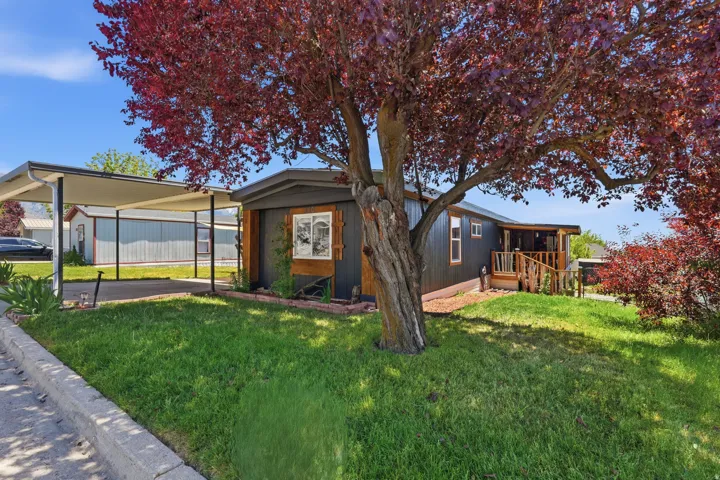 Contemporary exterior with dark siding, a covered porch, a carport, and mature landscaping
