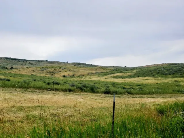Expansive open land featuring rolling hills and varied natural vegetation