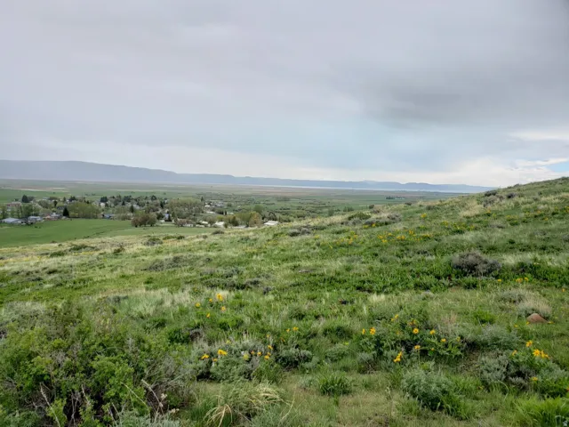 Expansive hillside property featuring natural vegetation, scattered yellow wildflowers, and distant mountain ranges