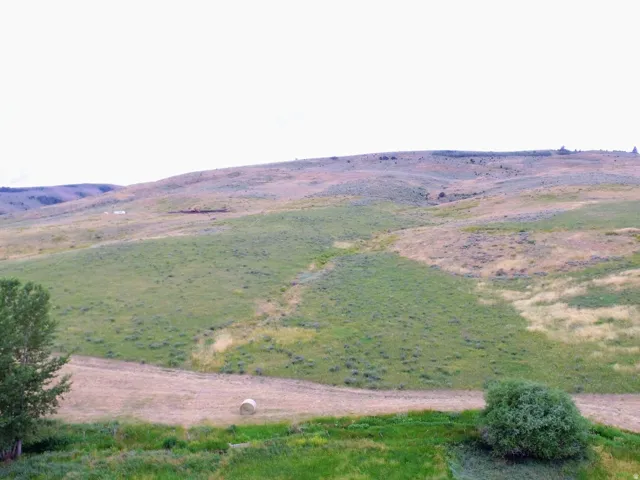 Expansive rural landscape featuring rolling hills and varied vegetation