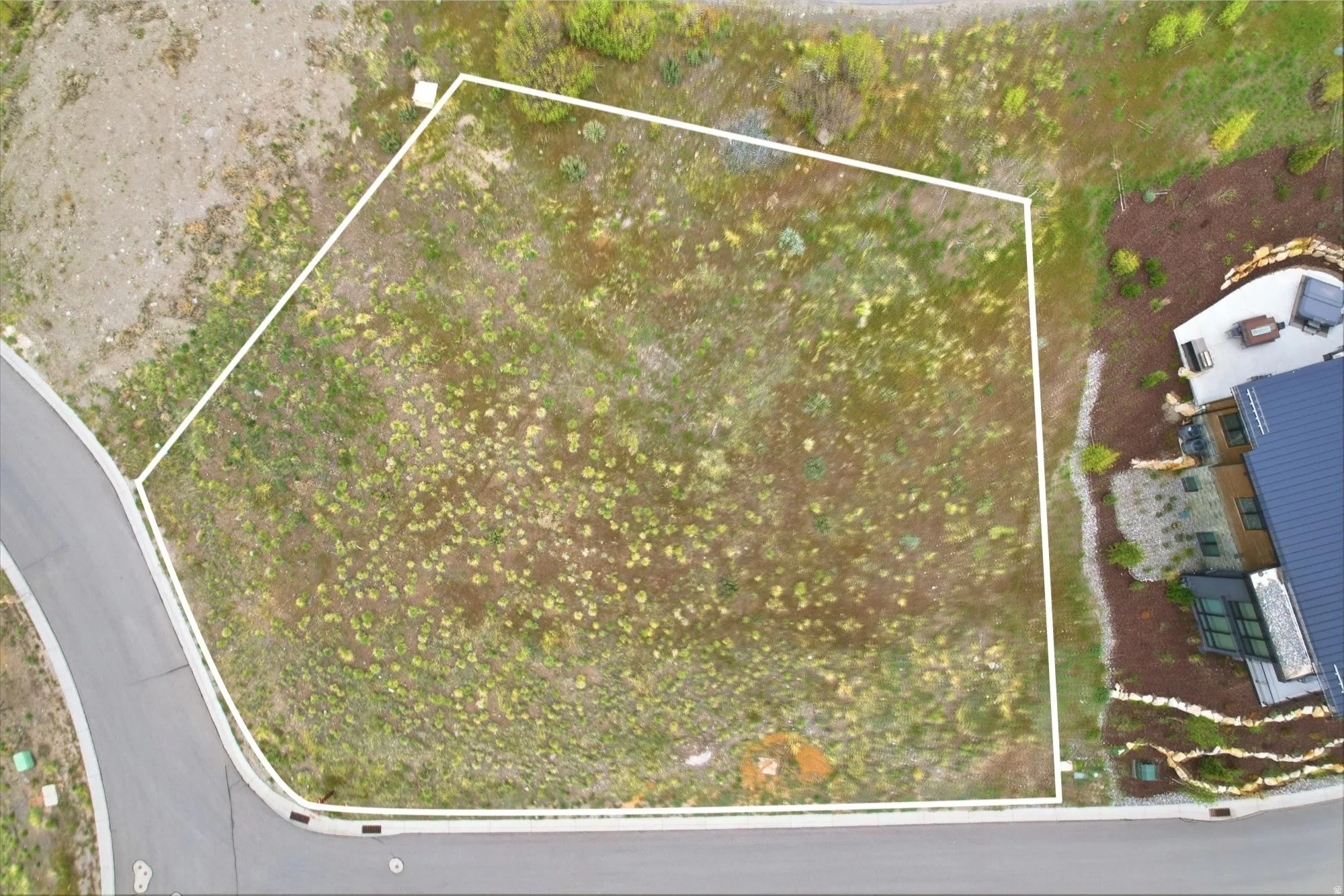 Expansive lot with natural vegetation