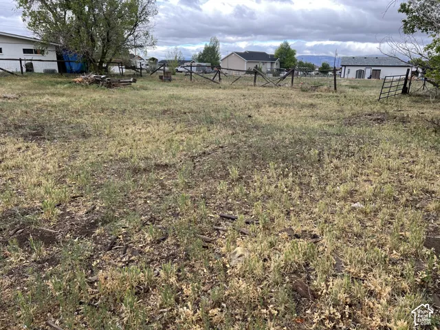 Expansive open lot with natural ground cover