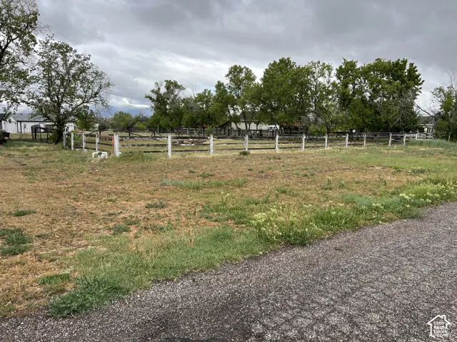 Expansive grassy area featuring a perimeter fence and mature trees