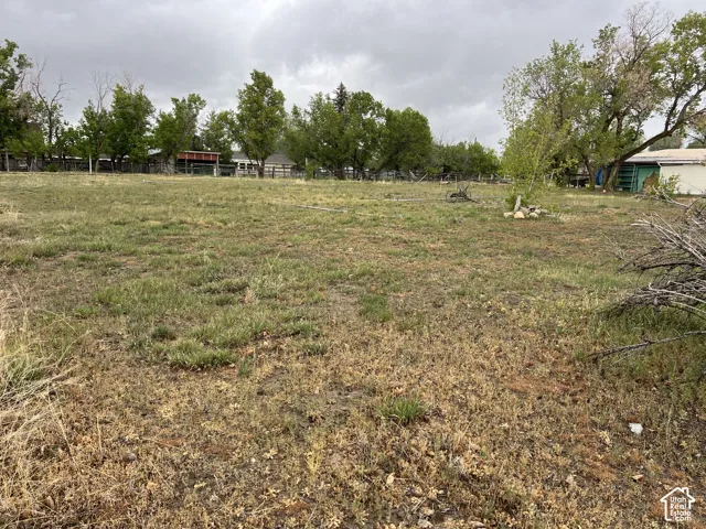 Expansive lot featuring a mix of natural grass and dry foliage, bordered by mature deciduous trees and a partial wooden fence line