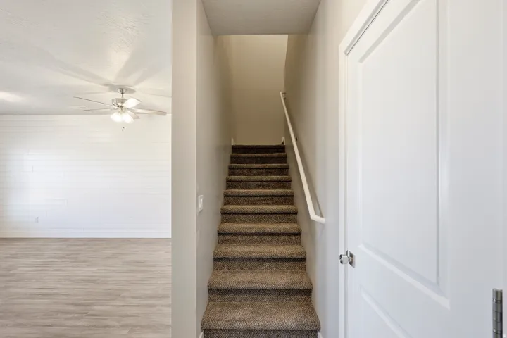 Carpeted staircase with white handrail leading to an upper level
