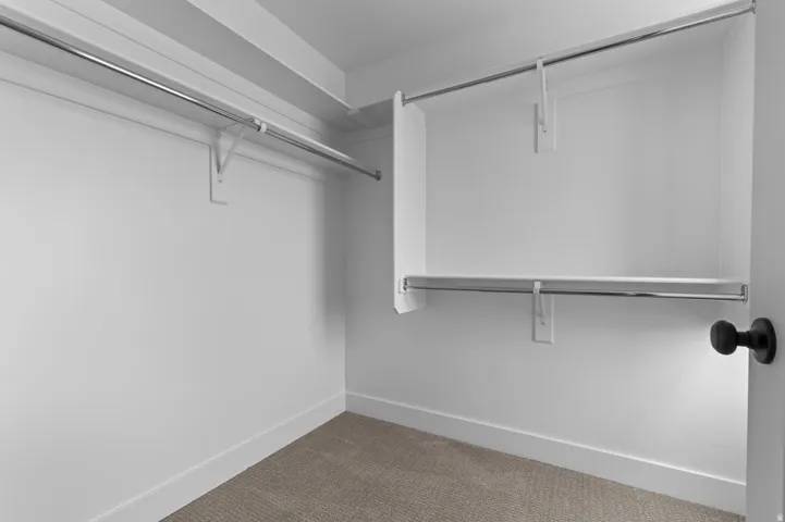 Walk-in closet featuring light beige carpet, white walls, and bright white baseboards