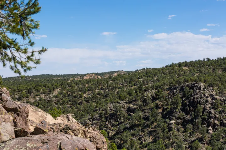 Expansive natural landscape featuring lush evergreen trees and rugged rock formations under a broad sky with scattered clouds