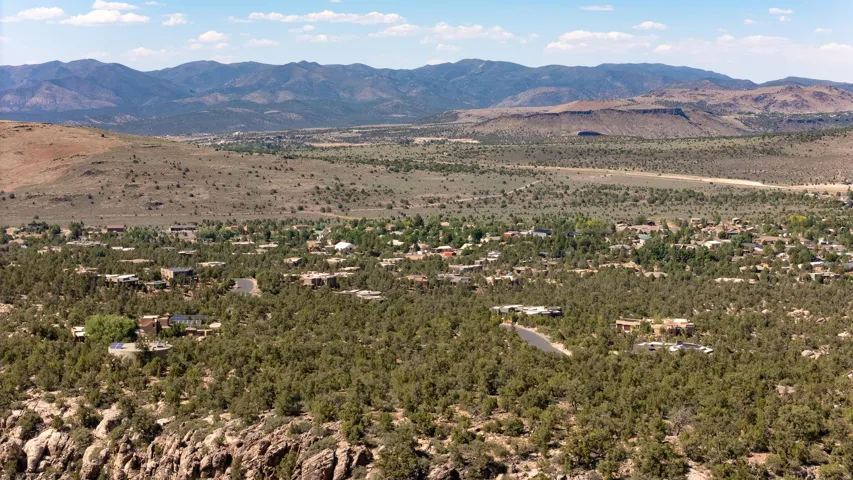 Aerial perspective showcasing a residential community nestled among dense tree coverage