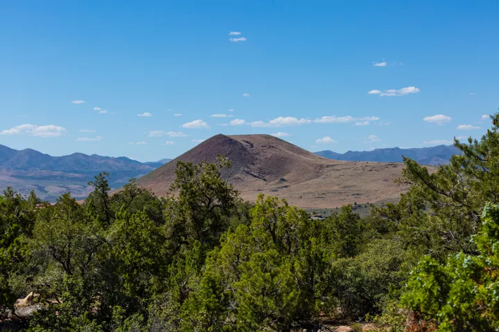 Expansive mountain and desert landscape framed by mature evergreen trees