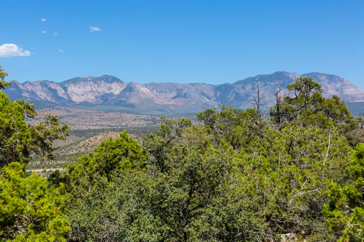 Expansive mountain range backdrop with natural desert terrain and abundant evergreen foliage