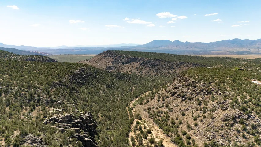 Expansive natural landscape featuring rolling hills, evergreen trees, and distant mountain ranges