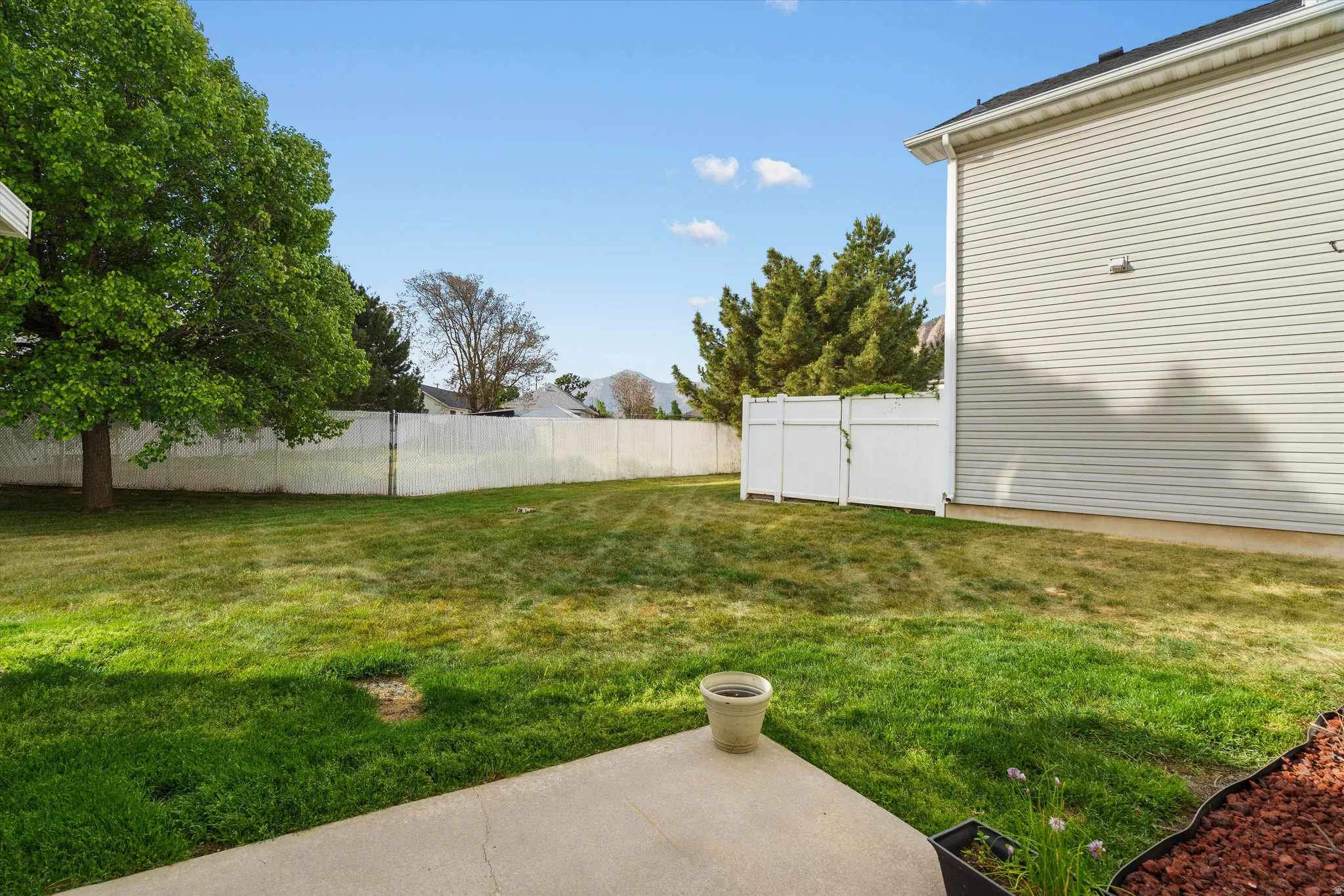 Expansive backyard with a large grass lawn, a full perimeter privacy fence, and mature trees