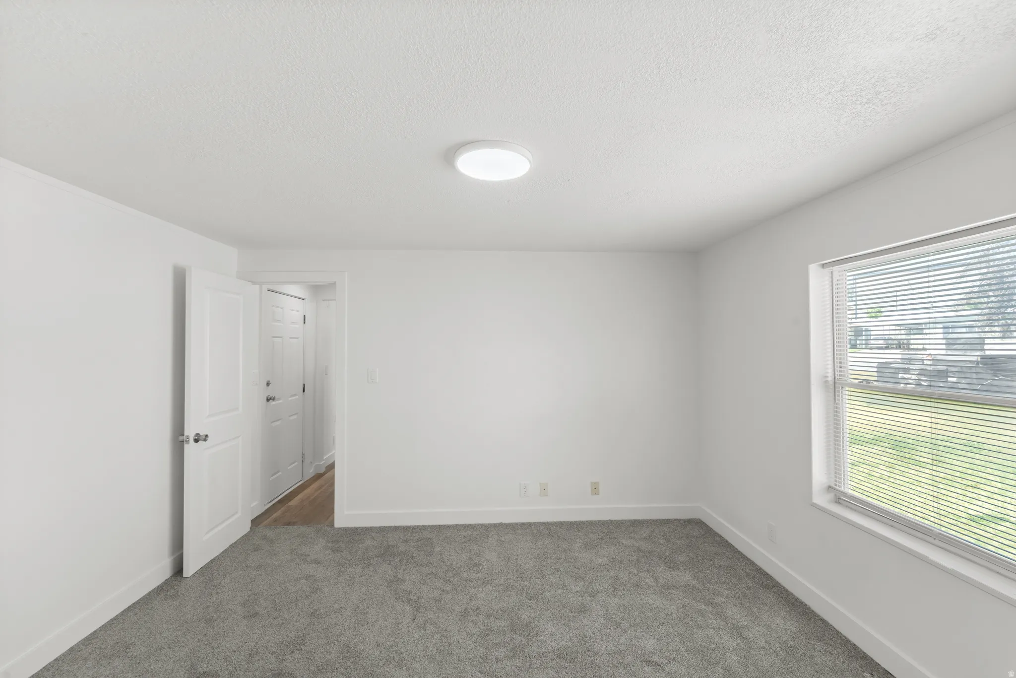 Bright interior space featuring light gray carpeting and white walls