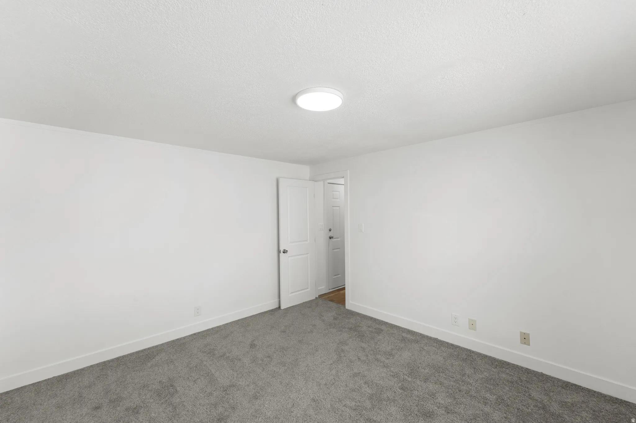Spacious room featuring neutral gray carpeting and white painted walls