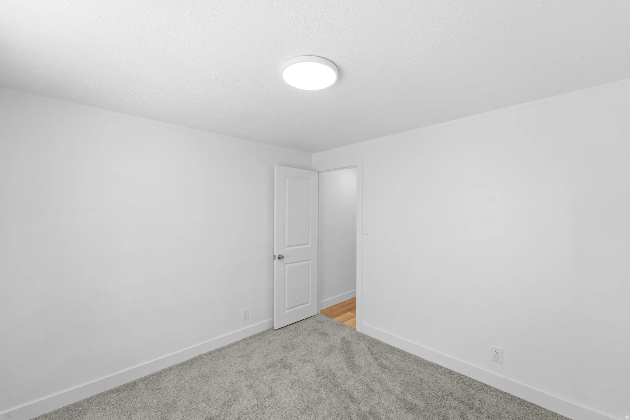 Neutral wall paint providing a versatile backdrop