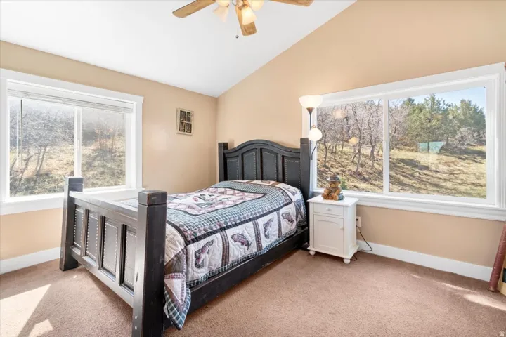 Vaulted ceiling with an attached ceiling fan