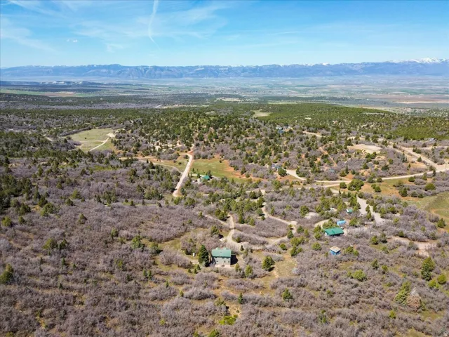 Expansive landscape featuring diverse vegetation and distant mountains