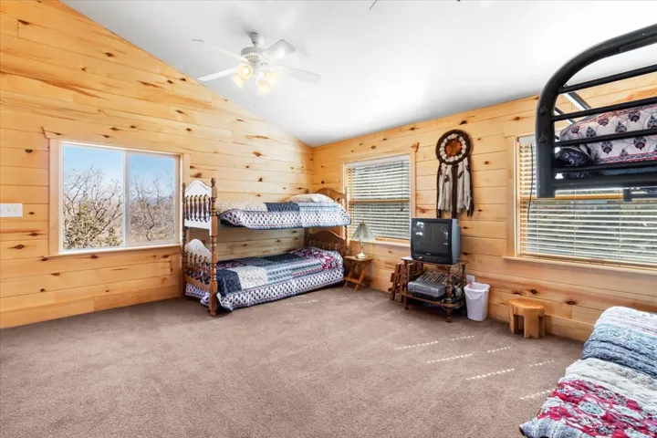 Expansive room featuring natural wood plank walls, a vaulted ceiling, and plush carpeting