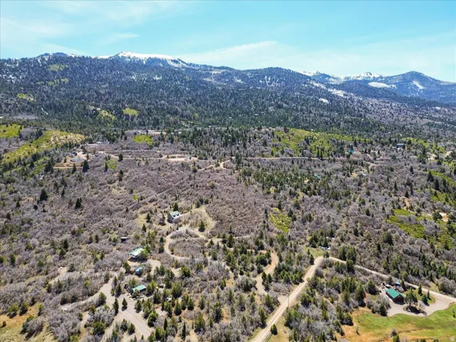 Expansive mountainous terrain featuring diverse tree coverage and multiple dirt roads